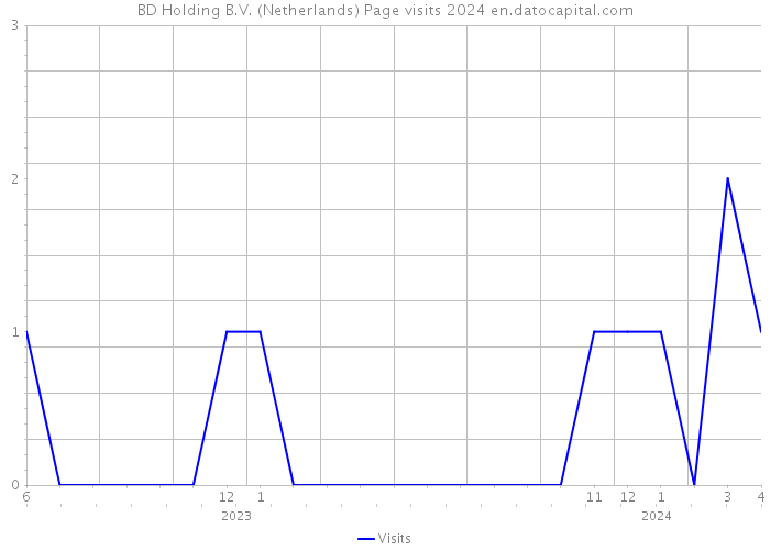 BD Holding B.V. (Netherlands) Page visits 2024 