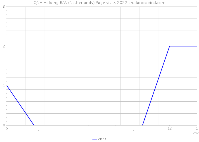 QNH Holding B.V. (Netherlands) Page visits 2022 