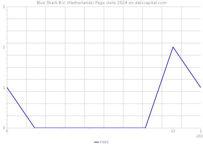 Blue Shark B.V. (Netherlands) Page visits 2024 
