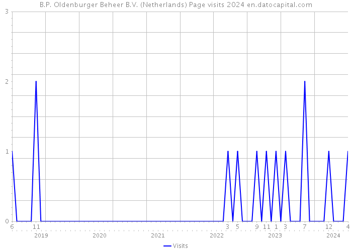 B.P. Oldenburger Beheer B.V. (Netherlands) Page visits 2024 