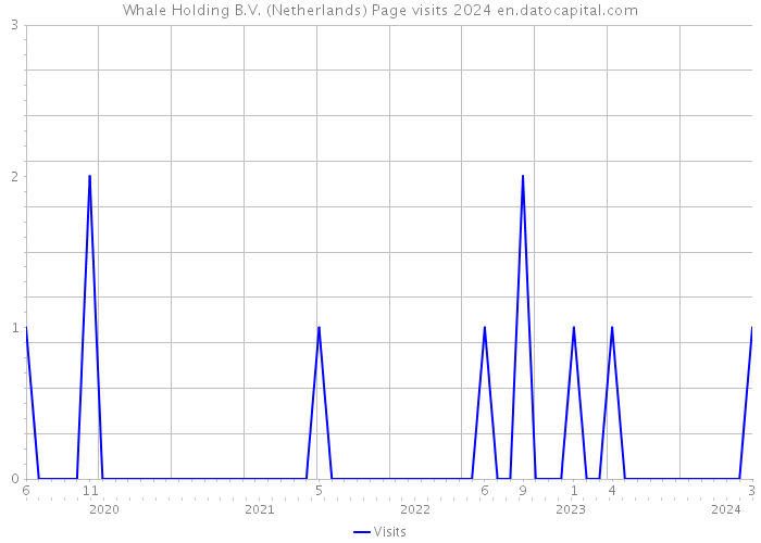 Whale Holding B.V. (Netherlands) Page visits 2024 