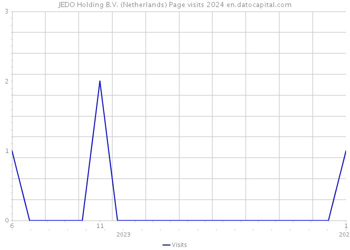 JEDO Holding B.V. (Netherlands) Page visits 2024 