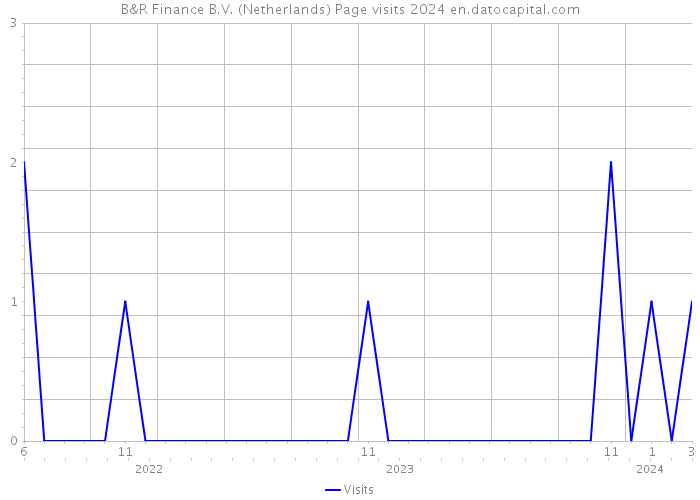 B&R Finance B.V. (Netherlands) Page visits 2024 