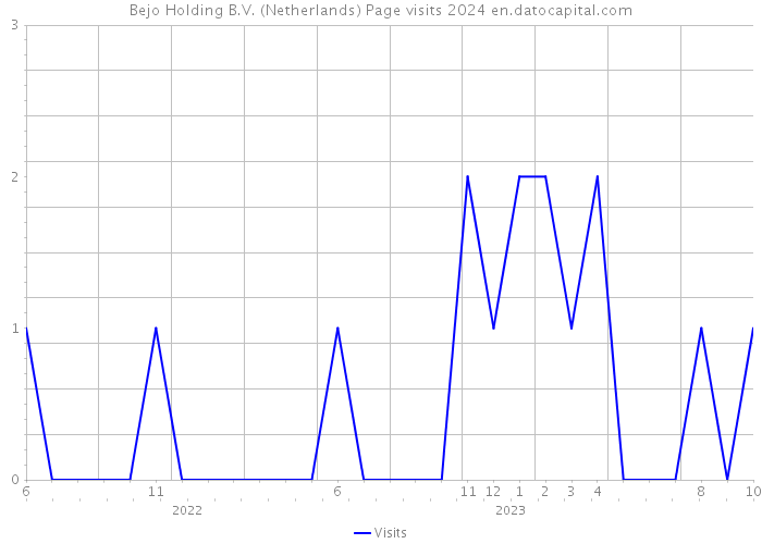Bejo Holding B.V. (Netherlands) Page visits 2024 