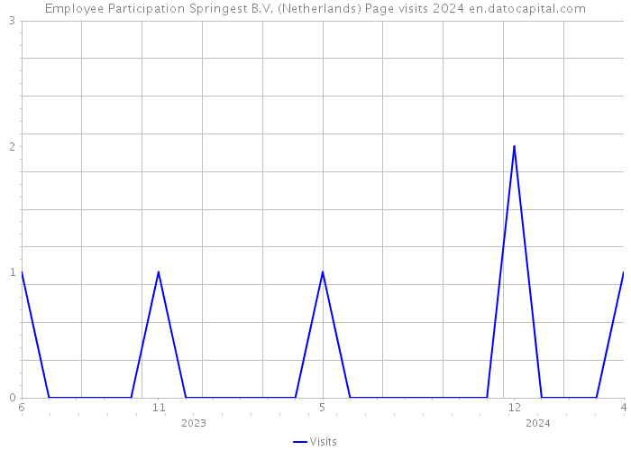 Employee Participation Springest B.V. (Netherlands) Page visits 2024 