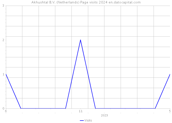 Akhushtal B.V. (Netherlands) Page visits 2024 