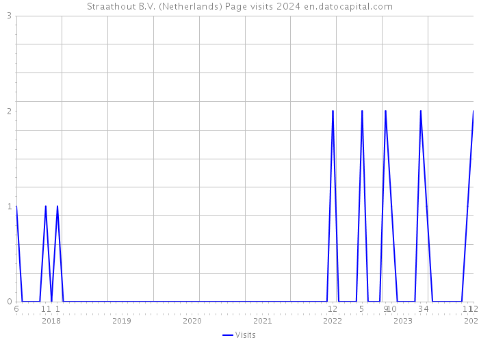 Straathout B.V. (Netherlands) Page visits 2024 