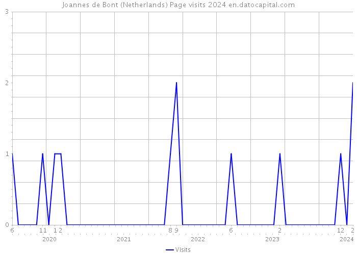 Joannes de Bont (Netherlands) Page visits 2024 