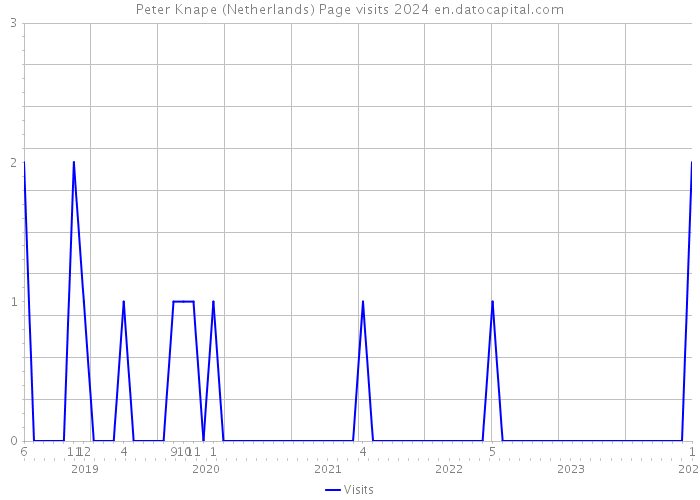 Peter Knape (Netherlands) Page visits 2024 