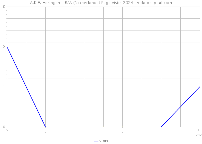 A.K.E. Haringsma B.V. (Netherlands) Page visits 2024 