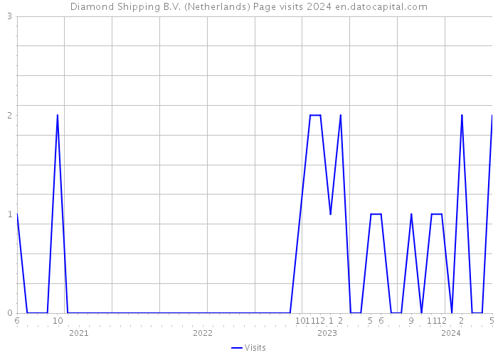 Diamond Shipping B.V. (Netherlands) Page visits 2024 