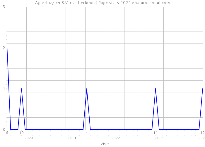 Agterhuysch B.V. (Netherlands) Page visits 2024 