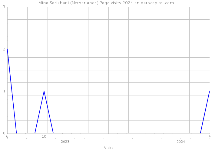 Mina Sarikhani (Netherlands) Page visits 2024 