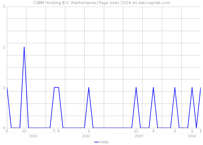 CSBM Holding B.V. (Netherlands) Page visits 2024 