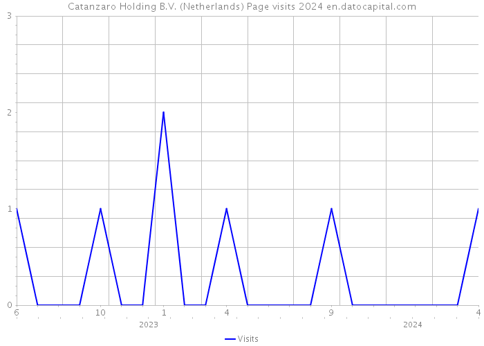 Catanzaro Holding B.V. (Netherlands) Page visits 2024 