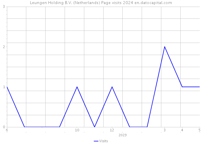 Leungen Holding B.V. (Netherlands) Page visits 2024 