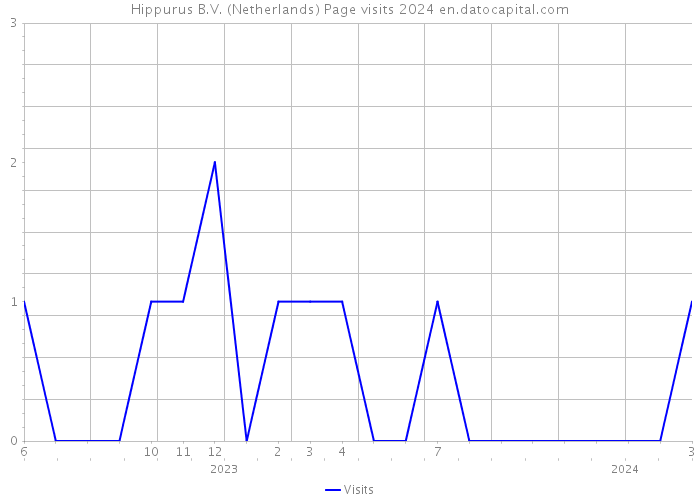 Hippurus B.V. (Netherlands) Page visits 2024 
