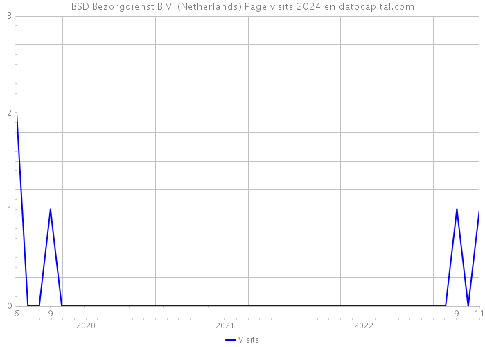 BSD Bezorgdienst B.V. (Netherlands) Page visits 2024 