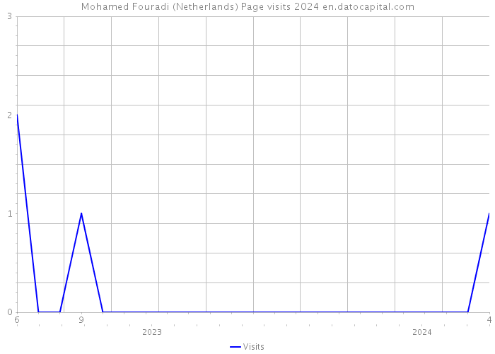 Mohamed Fouradi (Netherlands) Page visits 2024 