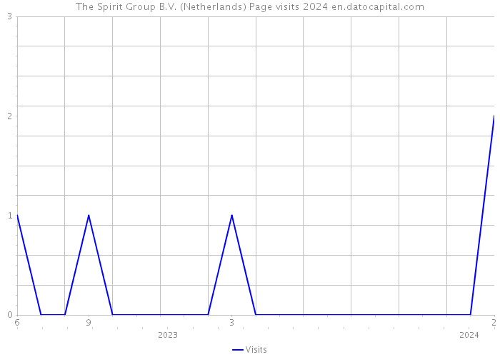 The Spirit Group B.V. (Netherlands) Page visits 2024 