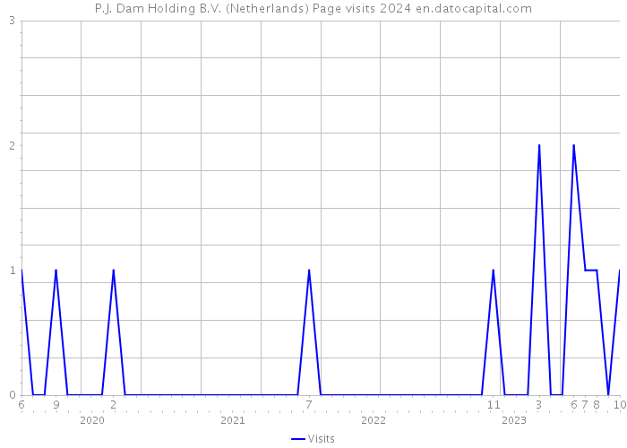 P.J. Dam Holding B.V. (Netherlands) Page visits 2024 