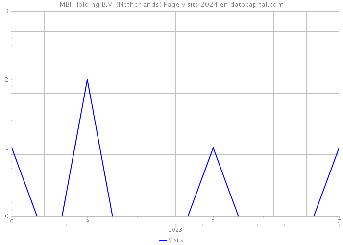 MBI Holding B.V. (Netherlands) Page visits 2024 