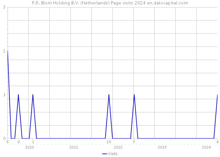 P.R. Blom Holding B.V. (Netherlands) Page visits 2024 