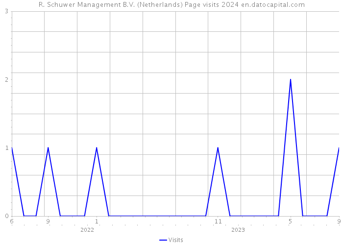 R. Schuwer Management B.V. (Netherlands) Page visits 2024 