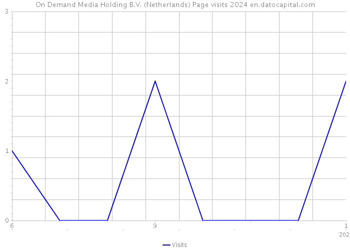 On Demand Media Holding B.V. (Netherlands) Page visits 2024 