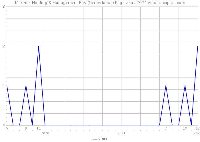 Marinus Holding & Management B.V. (Netherlands) Page visits 2024 