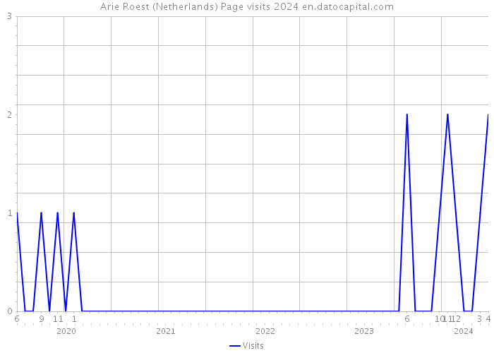 Arie Roest (Netherlands) Page visits 2024 