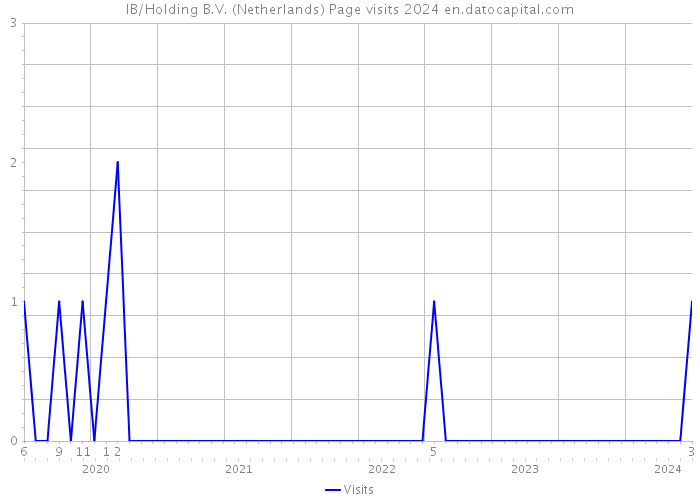 IB/Holding B.V. (Netherlands) Page visits 2024 