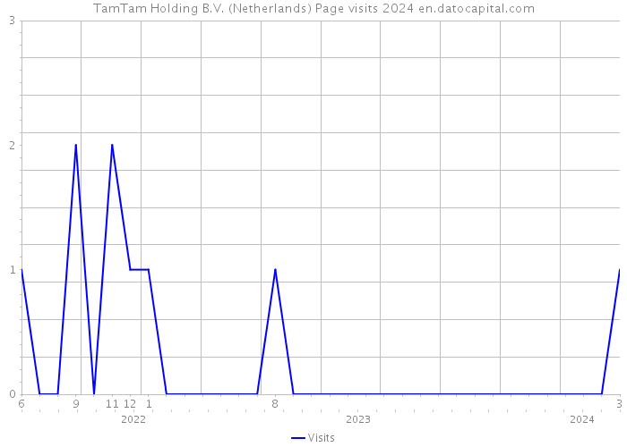 TamTam Holding B.V. (Netherlands) Page visits 2024 