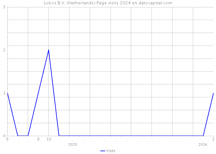 Lobos B.V. (Netherlands) Page visits 2024 