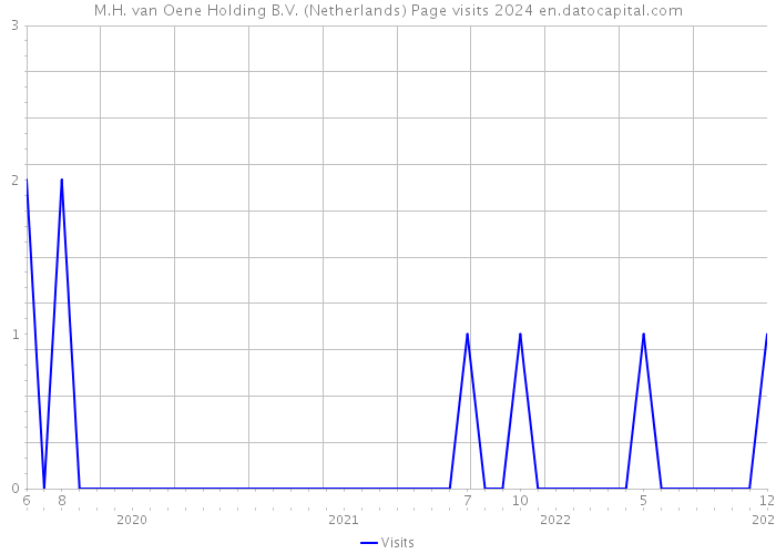 M.H. van Oene Holding B.V. (Netherlands) Page visits 2024 