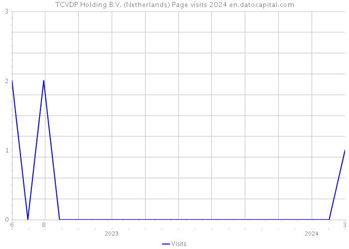 TCVDP Holding B.V. (Netherlands) Page visits 2024 