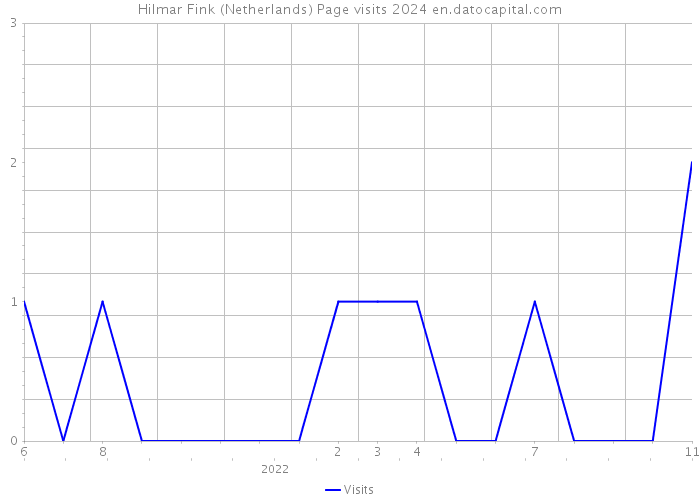 Hilmar Fink (Netherlands) Page visits 2024 
