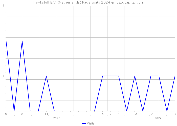 Hawksbill B.V. (Netherlands) Page visits 2024 
