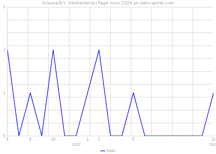 Kilauea B.V. (Netherlands) Page visits 2024 