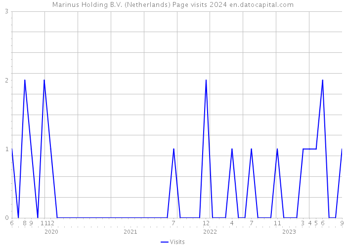 Marinus Holding B.V. (Netherlands) Page visits 2024 