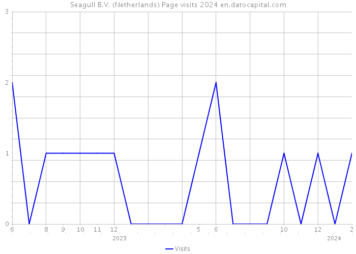 Seagull B.V. (Netherlands) Page visits 2024 