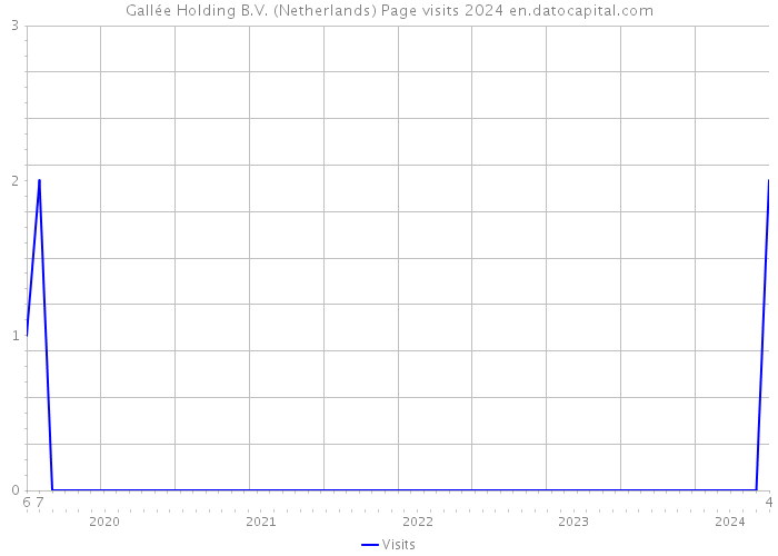 Gallée Holding B.V. (Netherlands) Page visits 2024 