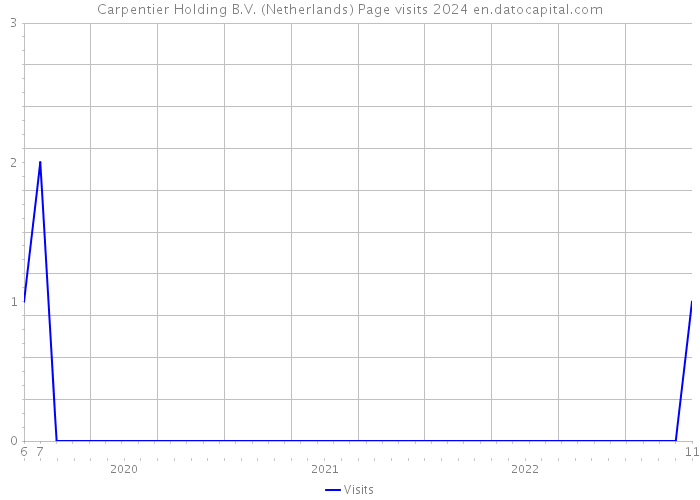 Carpentier Holding B.V. (Netherlands) Page visits 2024 