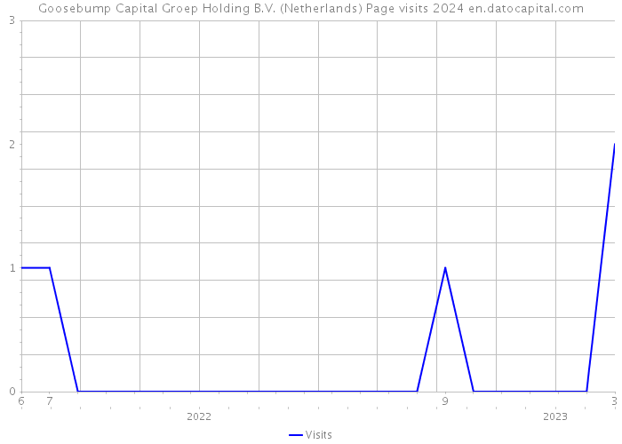 Goosebump Capital Groep Holding B.V. (Netherlands) Page visits 2024 