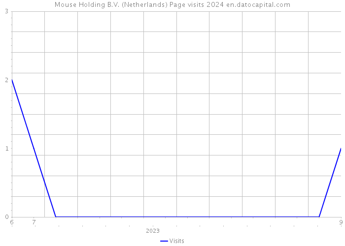 Mouse Holding B.V. (Netherlands) Page visits 2024 