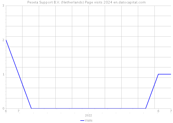 Peseta Support B.V. (Netherlands) Page visits 2024 