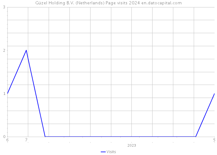 Güzel Holding B.V. (Netherlands) Page visits 2024 