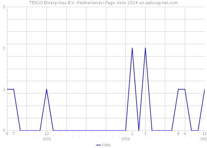 TESGO Enterprises B.V. (Netherlands) Page visits 2024 