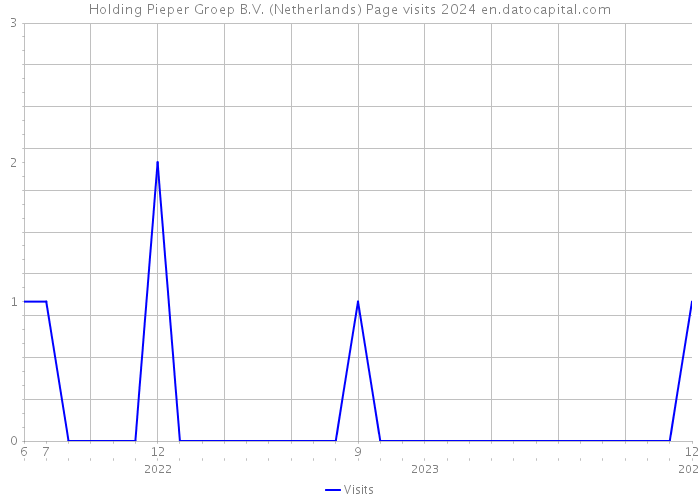 Holding Pieper Groep B.V. (Netherlands) Page visits 2024 