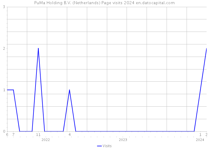 PuMa Holding B.V. (Netherlands) Page visits 2024 